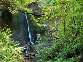 2 Tage Genussreise in die Europastadt Breisach m. HP