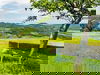 8 Tage Steiermark: Wellness, Massage & 6-Gang-Menü