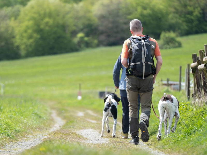 Kurzurlaub im Naturpark Harz bei Goslar - 5 Tage