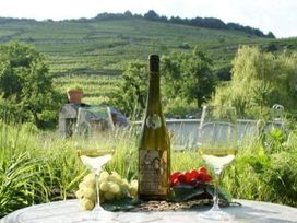6 Tage Weingenuss in Niederösterreich mit HP