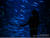 OZEANEUM Stralsund mit Ticket und Hotel
