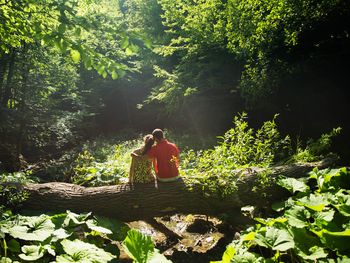 6 Tage Naturerlebnis im Schwarzwald mit Blick ins Tal