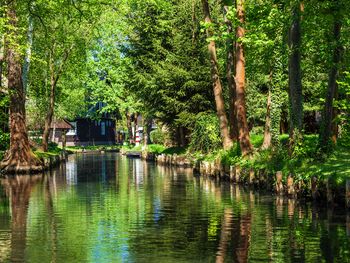 3 Tage Spreewälder Schnuppertour inkl. Kahnfahrt