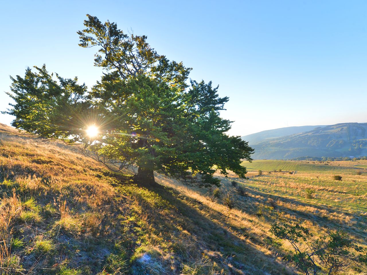 Der Hochrhöner | 3 Tage inkl. Halbpension