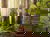 6 Tage Winter-Wellness-Woche Deluxe mit Therme