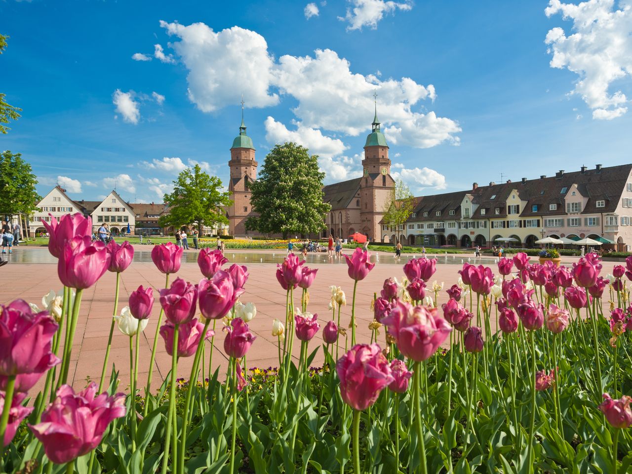 2 Schwarzwald-Tage in Freudenstadt mit Frühstück