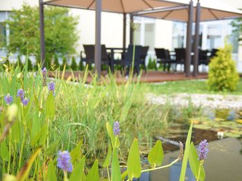 Freizeitparkspaß im AbenteuerReich BELANTIS