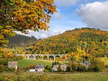 Rasante Tage im Bikepark Willingen / 4 Tage