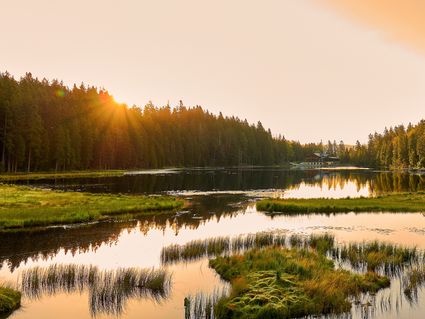 Aktiv-Woche im Bayerischen Wald für Alle!