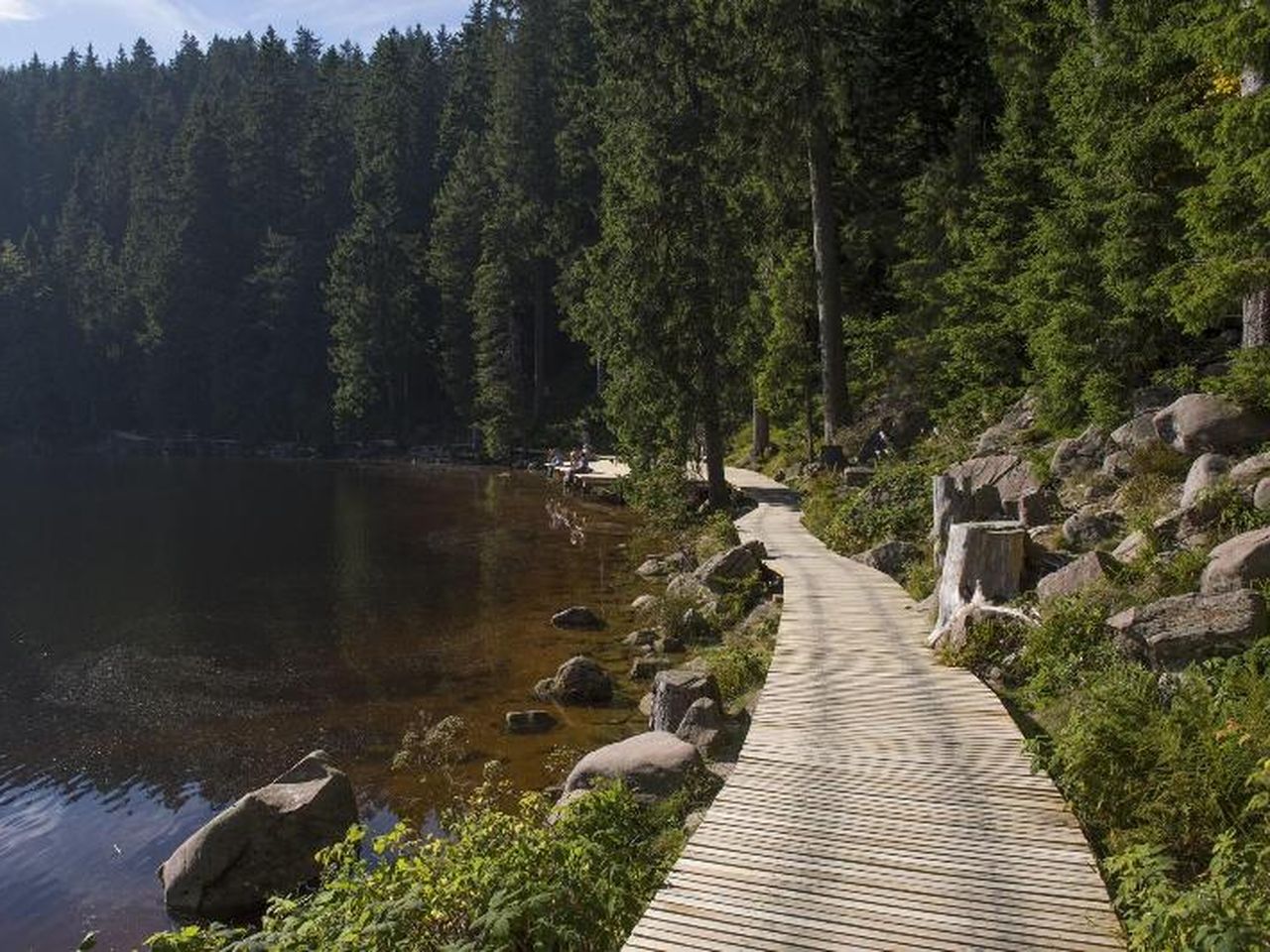 8 entspannte Tage im Schwarzwald mit Frühstück