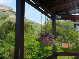 3 Tage Wandern: Weinberge und Schwarzwaldlandschaften