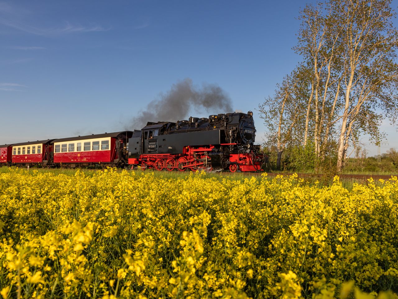 Wandern auf dem Selketal-Stieg