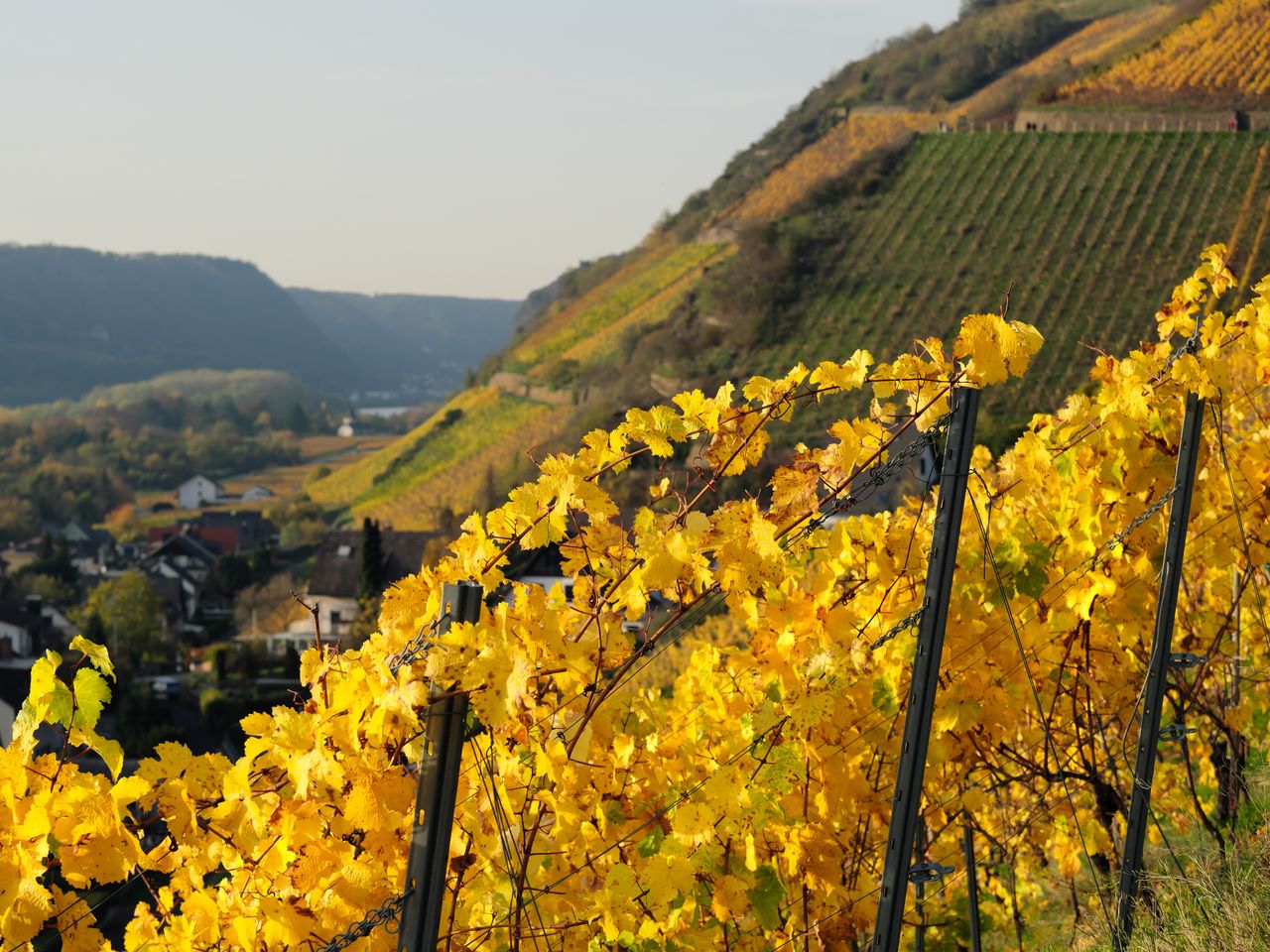 4 Tage Erholung im Tal der Loreley