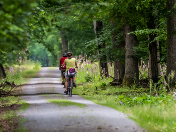 Kommt Zeit. Kommt Rad.