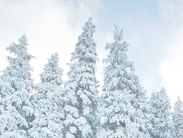 1 Woche Skivergnügen im Trentino