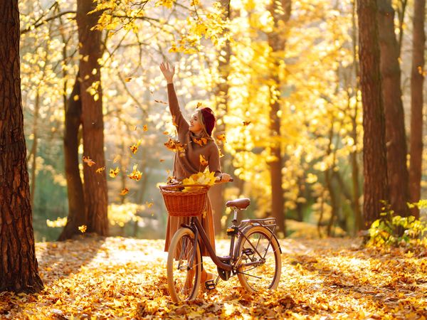 Wanderlustig? Bock auf Bike? 4 Tage / 3 Nächte in Damme Halbpension