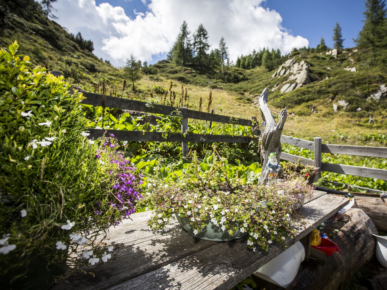 3 Tage in Kärnten: All Inclusive für Groß und Klein