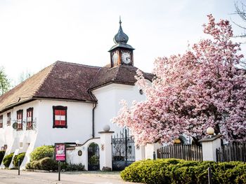 2 Tage Auszeit am Wörthersee