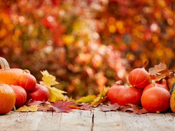 100 Jahre Herbstwoche – Lippstadt erleben 3 Tage