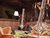 3 Tage umgeben vom Bayerischen Wald mit Frühstück