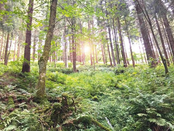 2 Tage nahe des Rothaargebirges im Sauerland