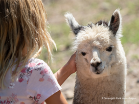 Serengeti-Park Hodenhagen mit Ticket und Hotel