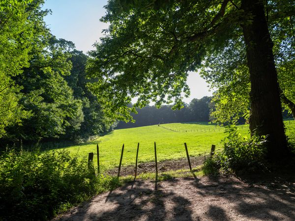 3 Tage Waldidylle & Stadtnähe in Berg en Dal erleben, Gelderland inkl. Halbpension