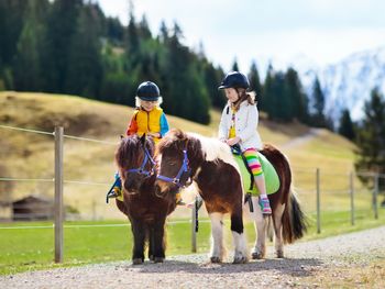 Familienauszeit im Bayerischen Wald - 3 Nächte