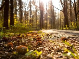 3 Tage Urlaub im schönsten Küstenort Nordhollands