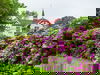 3 Tage Naturerlebnis bei Groningen