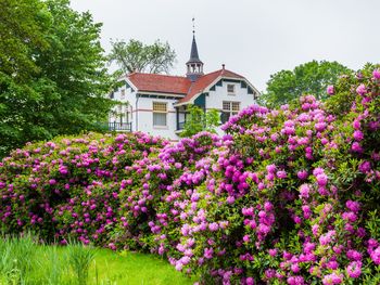 3 Tage Urlaub am schönen Paterswolder See