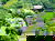 4 Tage Landgut-Hotel an der Veluwe – Stil & Natur