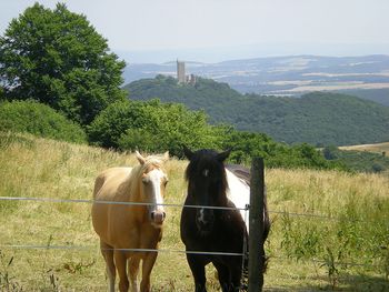 3 Tage Verwöhnzeit mit Wellness in der Eifel