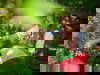 Bayerische Wellness-Auszeit - 2 Tage mit HP