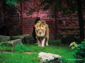 Zoo Hannover mit Übernachtung