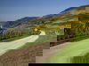 8 Tage Erholung im Tal der Loreley
