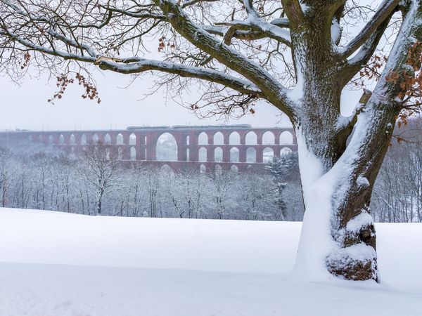 3 Tage Vogtländer Winterschnäppchen inkl. HP plus in Lengenfeld, Sachsen inkl. Halbpension Plus