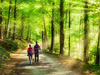 Wanderwoche im Odenwald - 5 Nächte