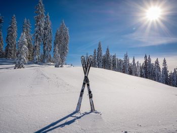 Mitten in den Salzburger Bergen- 5 Tage mit HP