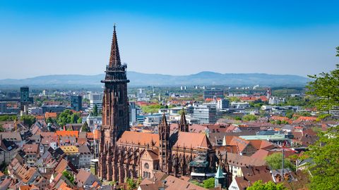 Freiburger Münster