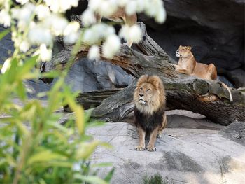 LOGINN & enjoy @ Zoo Leipzig! 3 Tage Tierischer Spaß