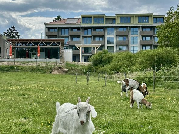 6 Tage großziegige Auszeit am Carwitzer See