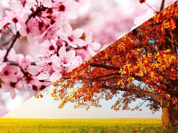 4 Tage Frühlingserwachen / Herbstzauber in Ostseebad Trassenheide, Mecklenburg-Vorpommern inkl. All Inclusive