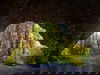 Silvester ohne Trubel 29.12.25-01.01.26