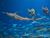 OZEANEUM Stralsund mit Ticket und Hotel
