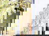 2 Tage im Radisson Blu Hotel Cologne 