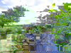 4 Bade- & Relaxtage inkl. Steintherme und HP plus