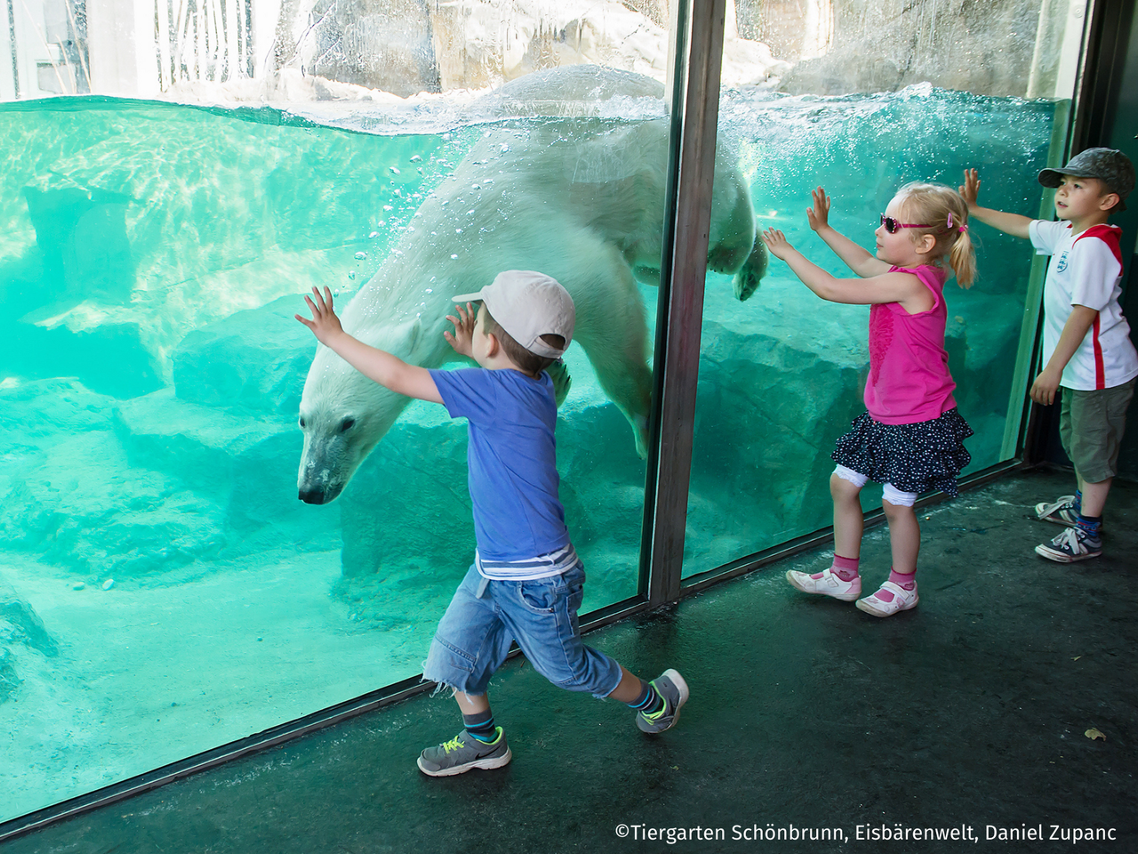 Tiergarten Schönbrunn Wien mit Hotel
