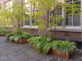 2 Tage im historischen Zentrum von Haarlem