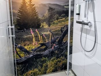 3 Tage Kurzurlaub in Willingen - Auszeit vom Alltag